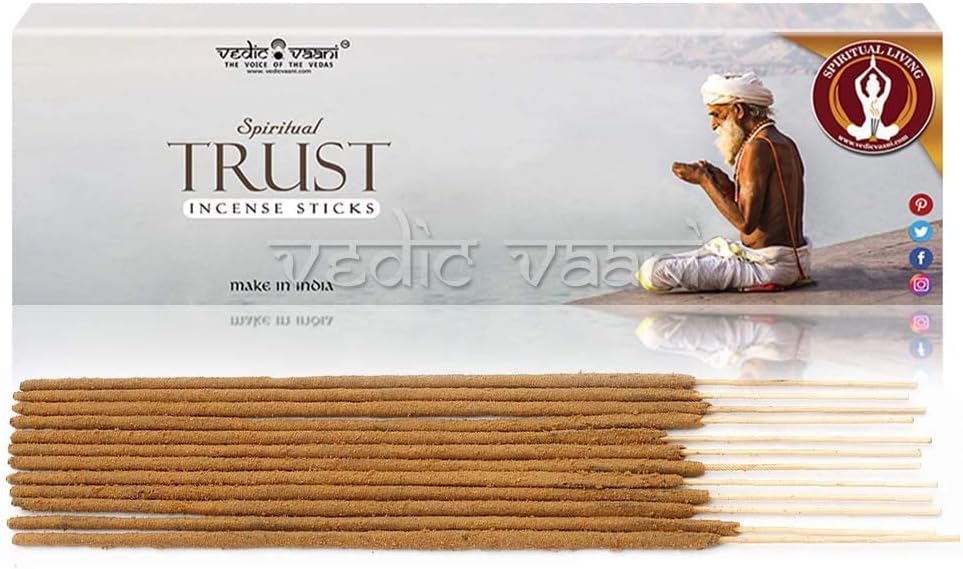 Vedic Vaani Spiritual Living Trust Incense Stick Agarbattis (250 Grams)